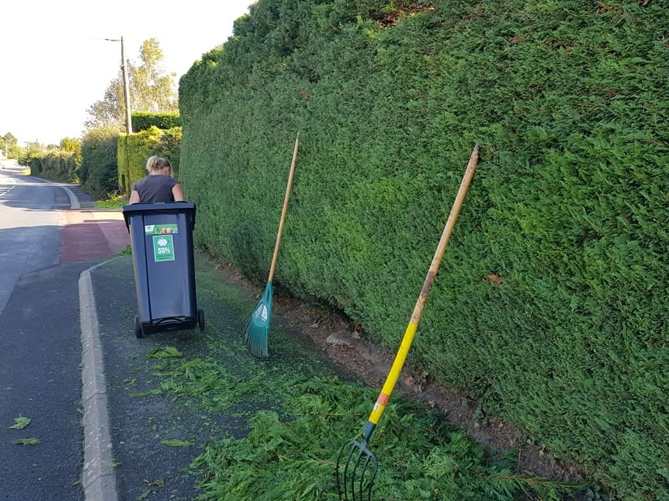 Haie taillée dans le Calvados.