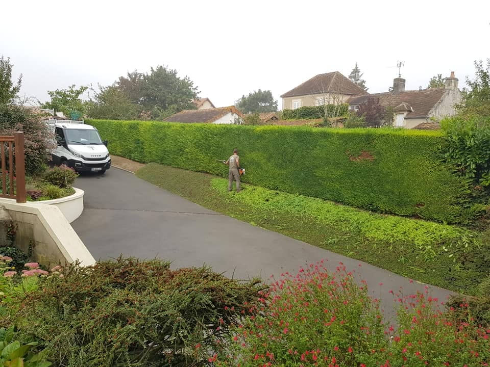 Taille d'une haie dans les environs de Moult