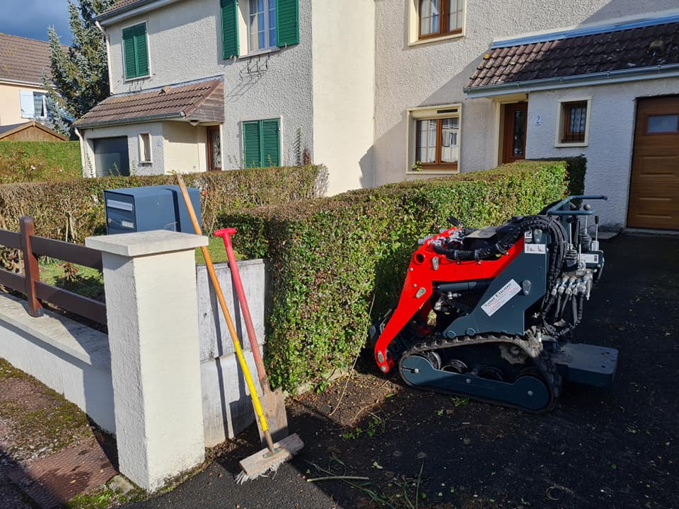 Haie taillée dans le Calvados