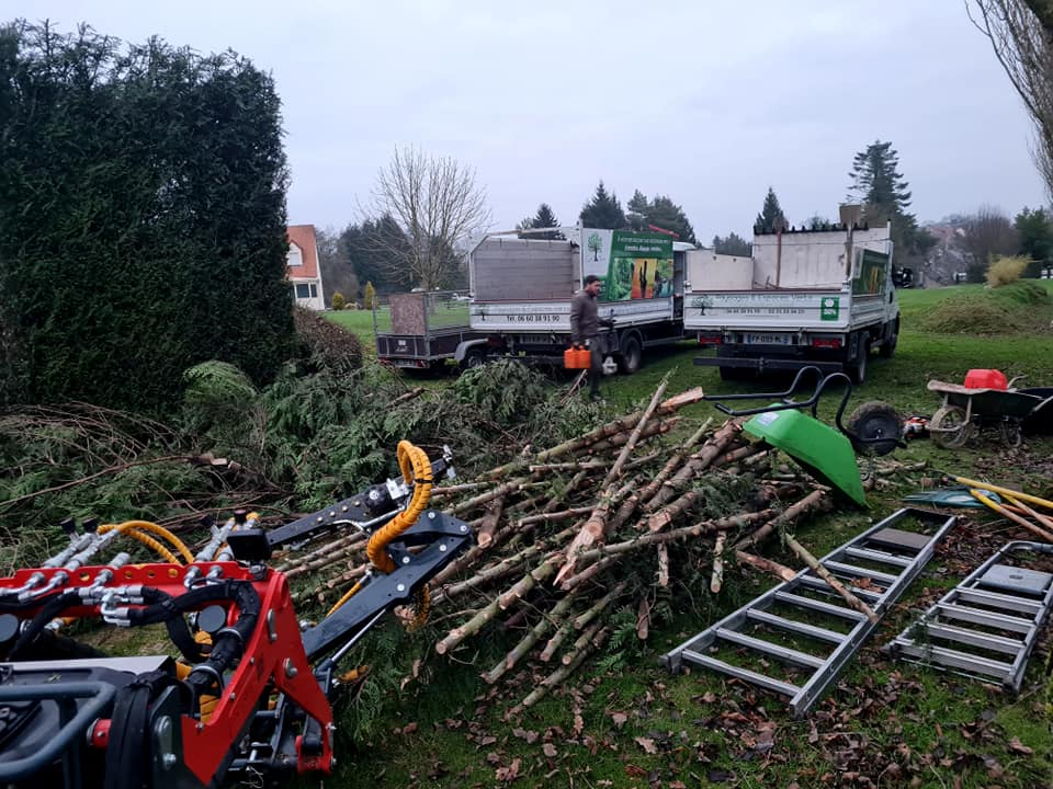 Élagage et coupe d'arbres dans le Calvados (14)