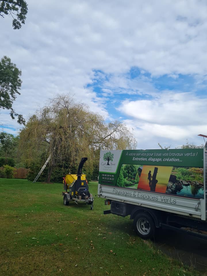 Pelouse tondue dans le Calvados