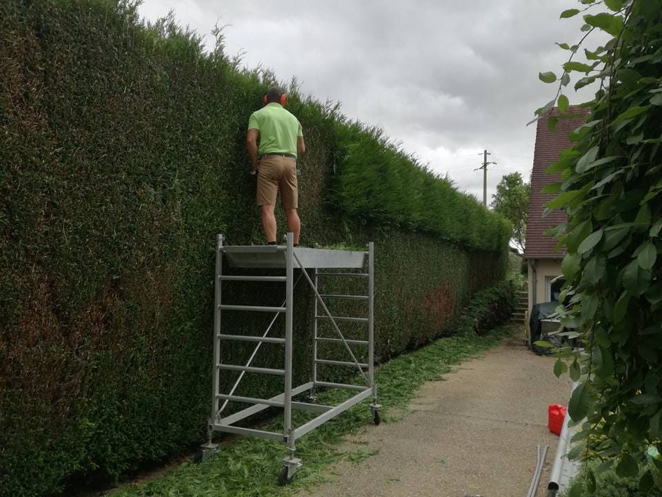 Taille d'une haie dans le Calvados dans les environs de Moult