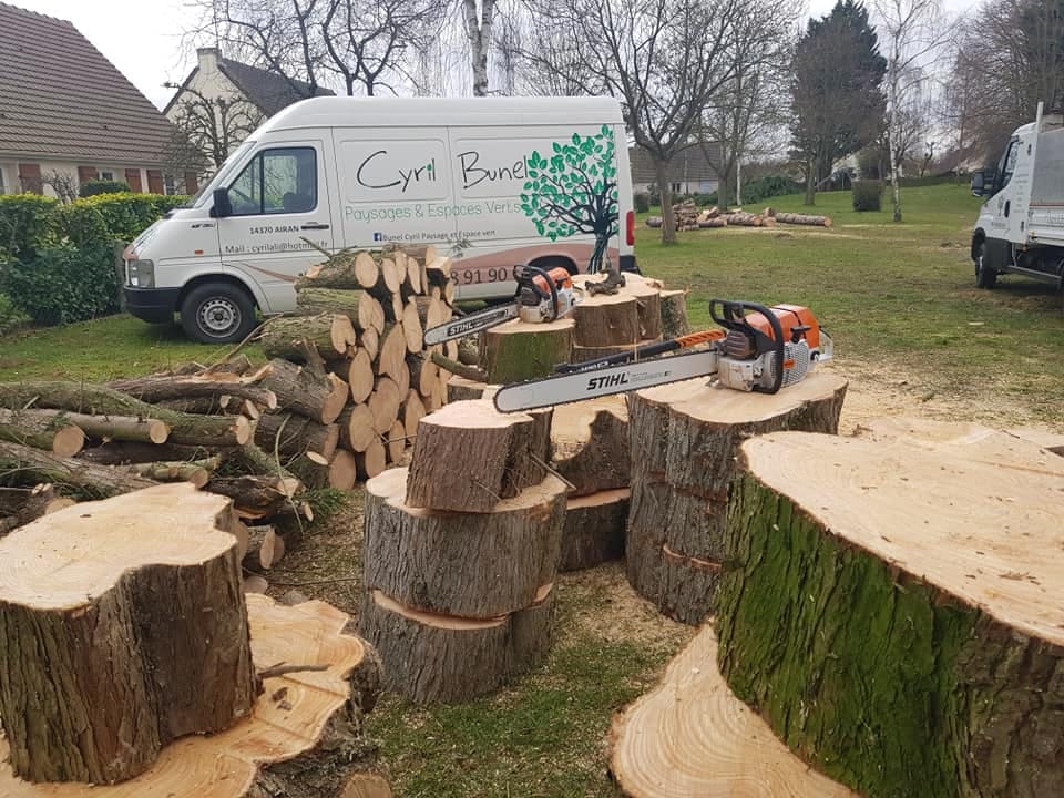 Couper d'abres par Cyril Bunel dans le Calvados