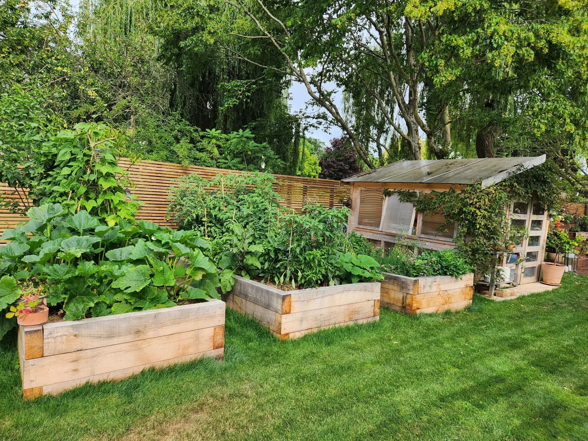 Création d'un potager dans le Calvados