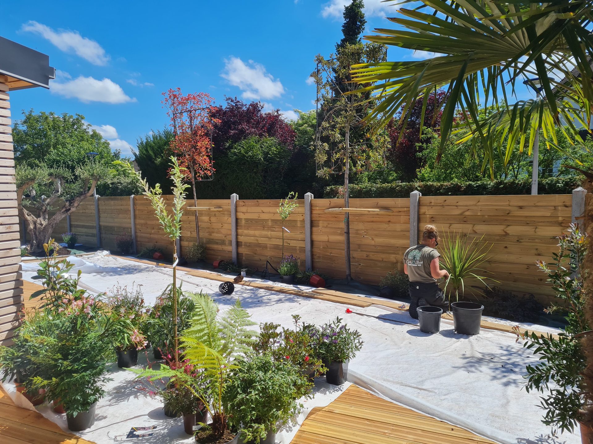 Clôture en lames de bois horizontales et plantations en cours dans un jardin