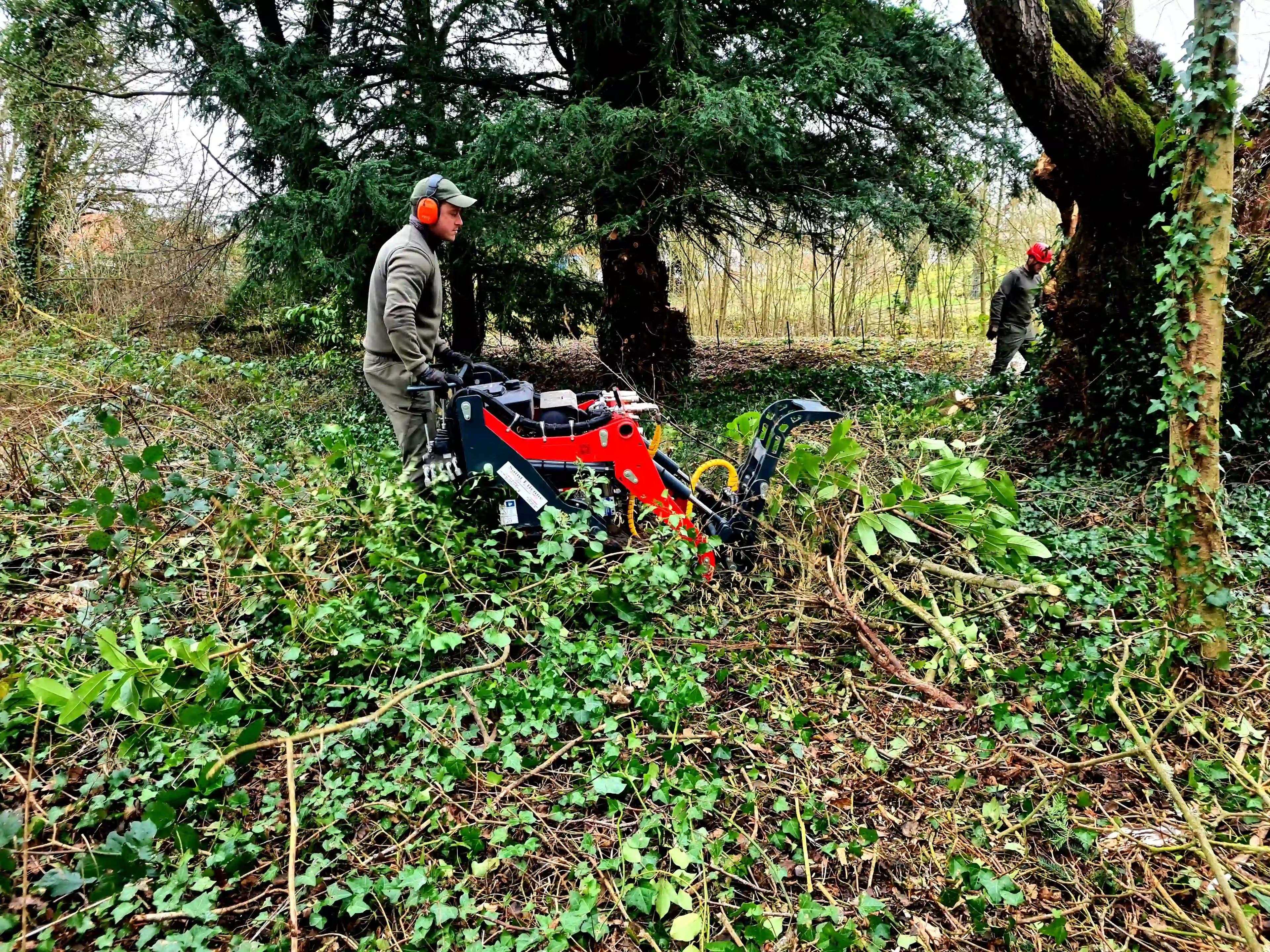 Défrichage d'un terrain privé