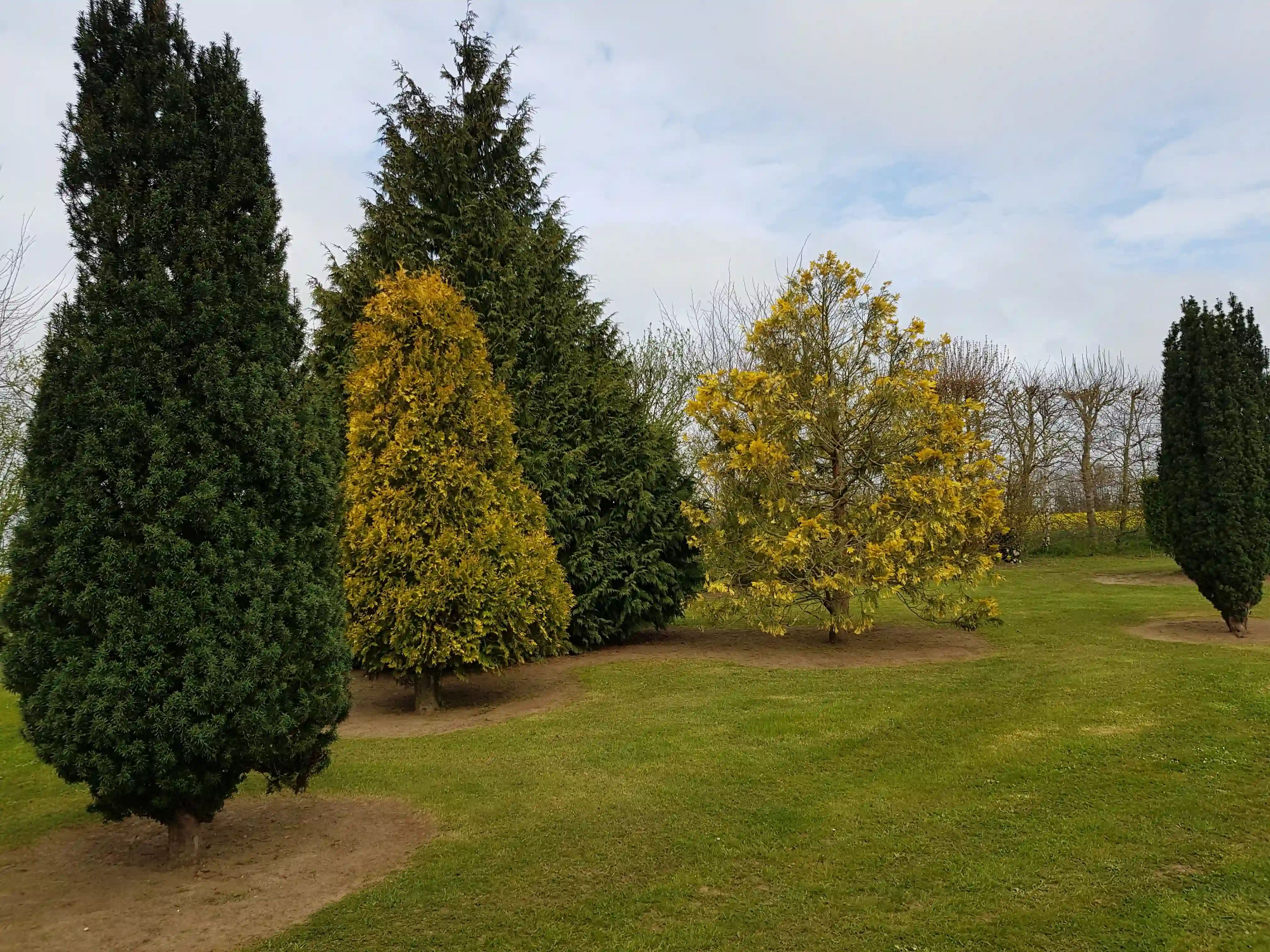 Entretien des espaces verts d'une propriété de la région Caennaise