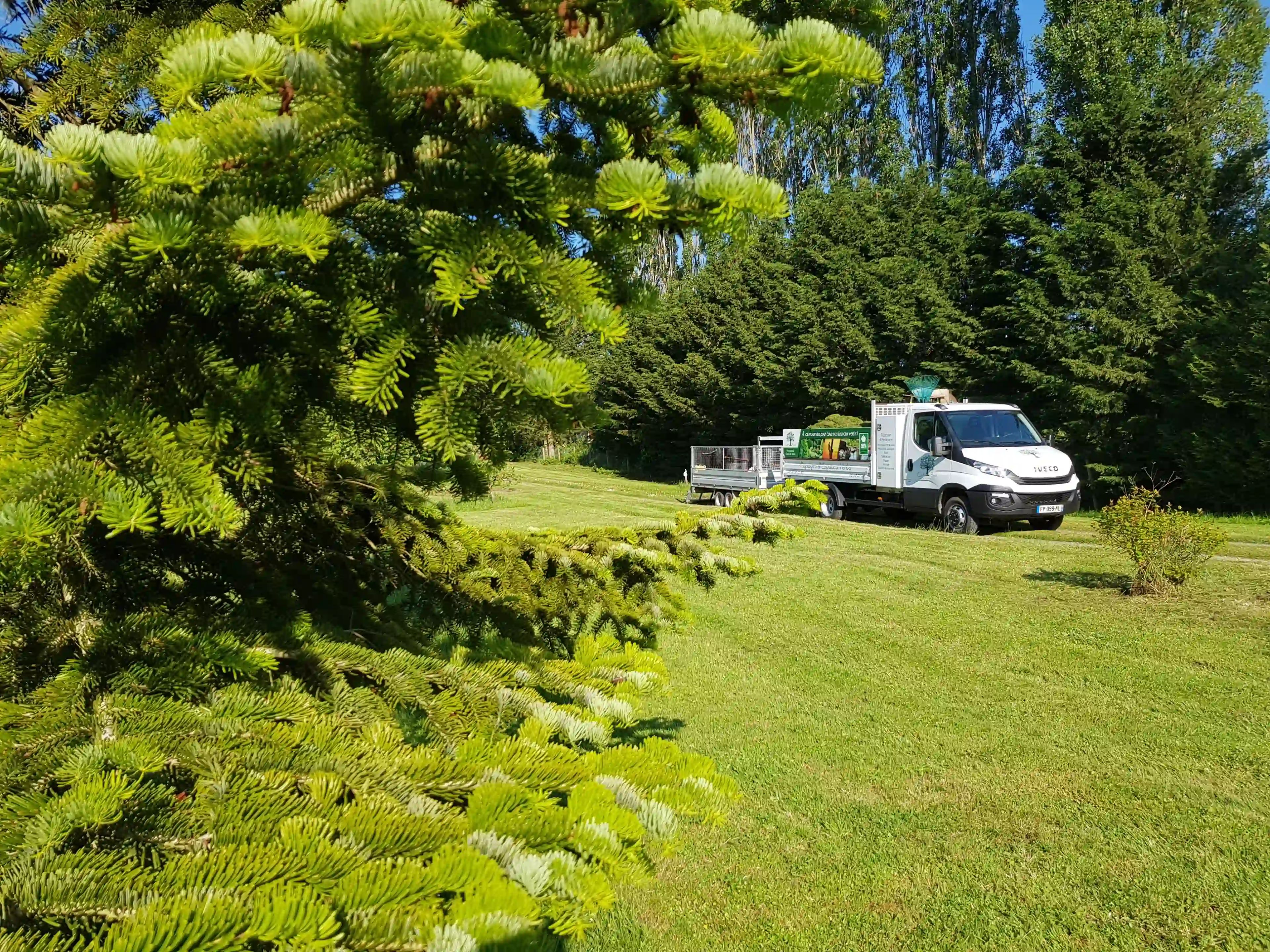 Entretien d'espaces verts, tonte de pelouse